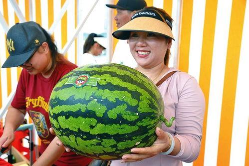吃瓜观娱乐